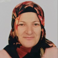Sema Yücesoy