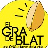 Administració Gra de blat