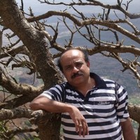 Krishna Bheed
