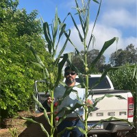 João Paulo V. Alves dos Santos