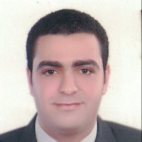 Mina Nessim