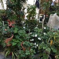 Ana maria Fuente villanueva