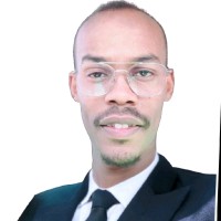Badreldin Abdelgadir