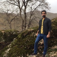 Reza Zand