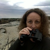 Kim Wilcox