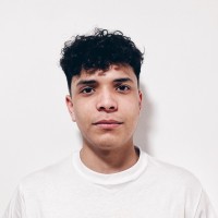 Christopher Alves Piñango