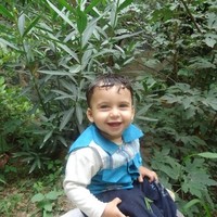 ebrahim alashary