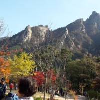 포멧포