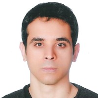 Hossein Lotfi