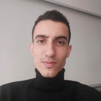 Arian Nargesi