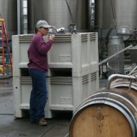 Penelope Gadd-Coster