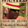 Pedro Henrique Machado Silveira