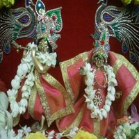Dilli Priya
