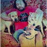 Beeazy Kennels