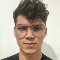 Pedro Henrique Costa Barros