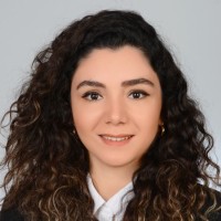 Beliz Tokcan