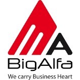Big Alfa LLP