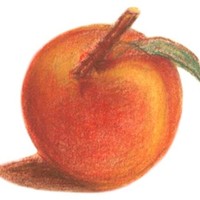 PEACH CHEMICAL Suministros Químicos Industriales