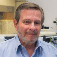 Amadeo Saez-Alquezar