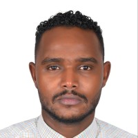 عثمان محمد نووور
