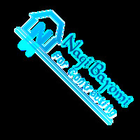 Hisham Nagi