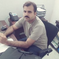 asif mehmood