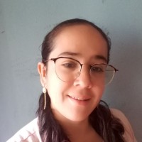 Luz mila Pimentel