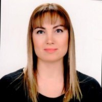 Birsen Arslan