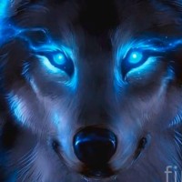Wolf Boss