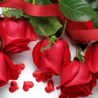 زهراء محمد خليل