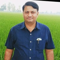 Pawan Raghav