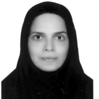 Bahareh Shiekholeslami