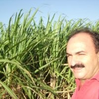 JOSE VALTER ALMEIDA