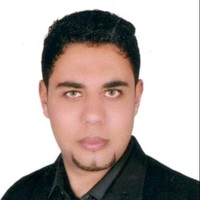 Mohamed Shehata
