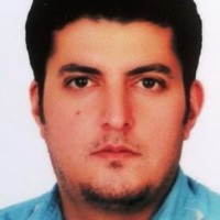 Seyed Ali Tabatabaee