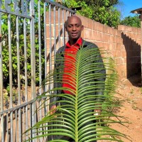 Sizwe King