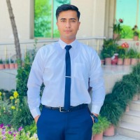 Muhammad Aamir Bin Habib