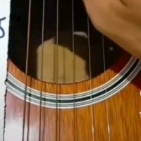 Ana Clara Nonato