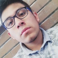 Luis David Coazozon Garcia.