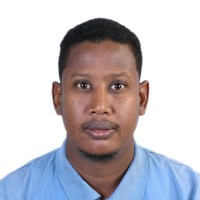 Abdelmoneim Mohammed Ahmed