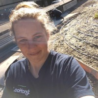 Silvana Haefkens