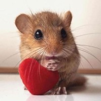 Marc Edwards 🇨🇦