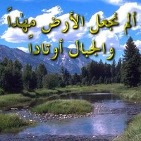 Sayed Fawzy