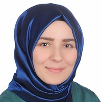 Dilek Nur İsti̇f