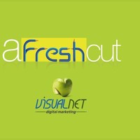 Visual Net