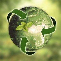 Aaron Miller
