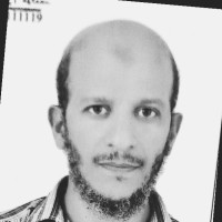 Abdulhamid Abo-Hosin