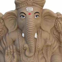 Srinivas Bolla's