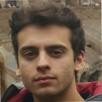 Davide Artioli