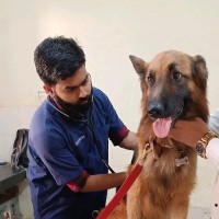 Dr. Omkar Kachave